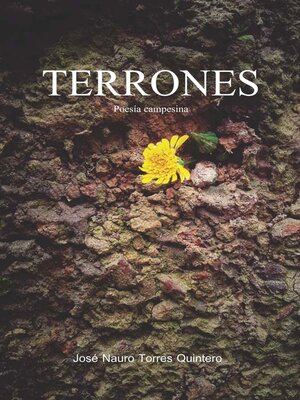 cover image of Terrones